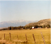Montana1988  011